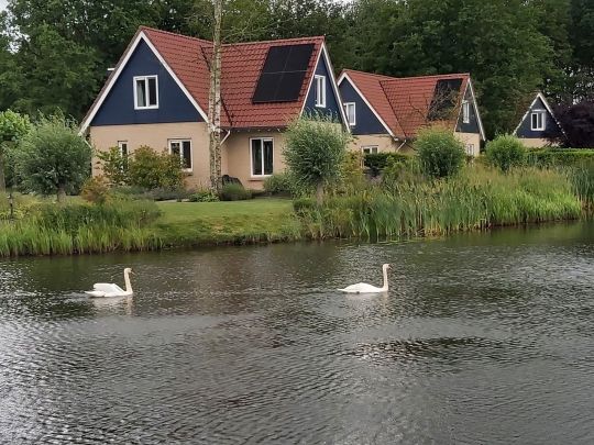 Vakantiepark het Timmerholt-1