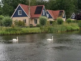 Vakantiepark het Timmerholt-1