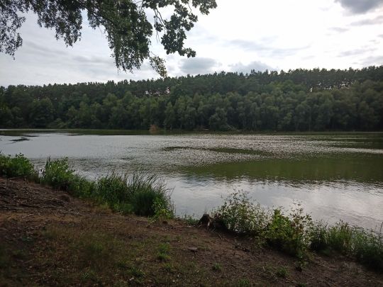 Kleiner Lubowsee (Joachimsthal)-4