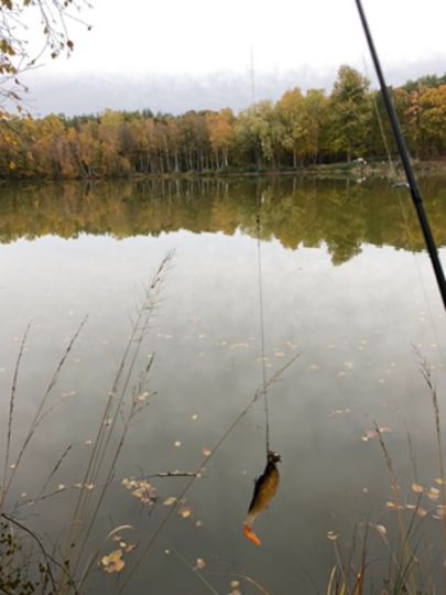 Kleiner Lubowsee (Joachimsthal)