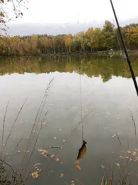 Kleiner Lubowsee (Joachimsthal)
