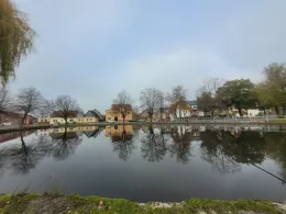 Dorfteich Zschortau-3