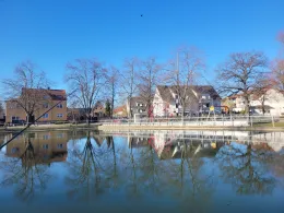 Dorfteich Zschortau-2