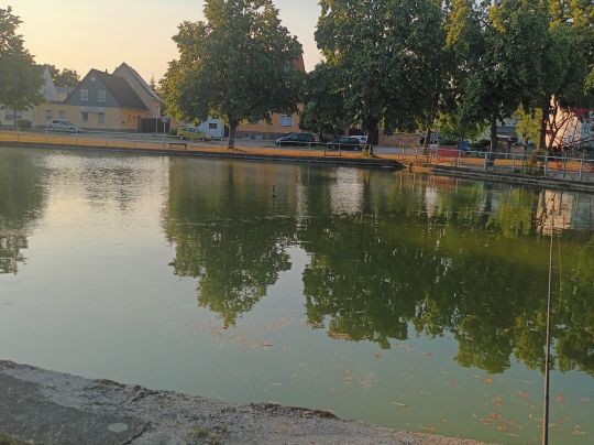 Dorfteich Zschortau-4