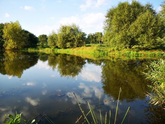 Kreuzkuhlen (Achim)-1