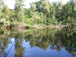 Amper Altwasser (Olching)