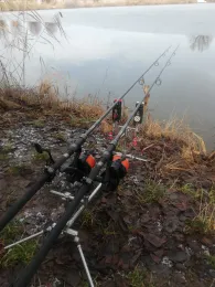 Finsterer Weiher (Blindheim)