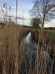 Krebsbach (Ehningen)-1