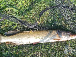 Noord-Holland-Kanal (Burgerbrug)-2