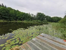 Langer See (Staven)-2