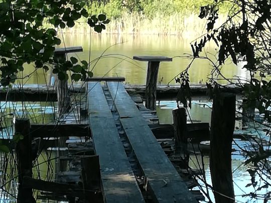 Angeln in Staven