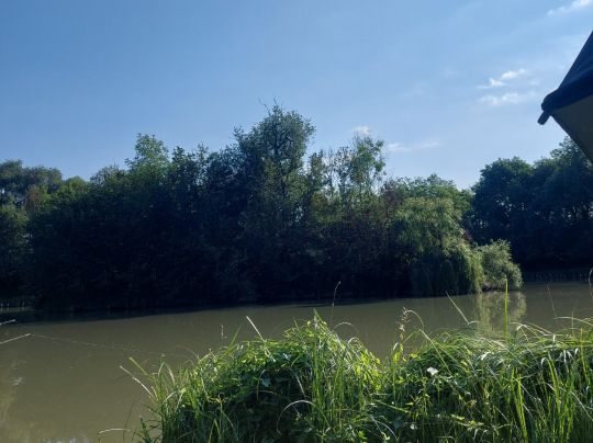 Böhmenteich (Bad Langensalza)-4