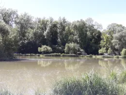 Böhmenteich (Bad Langensalza)