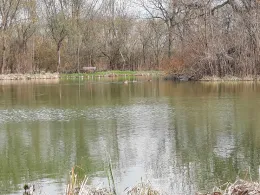 Böhmenteich (Bad Langensalza)-2