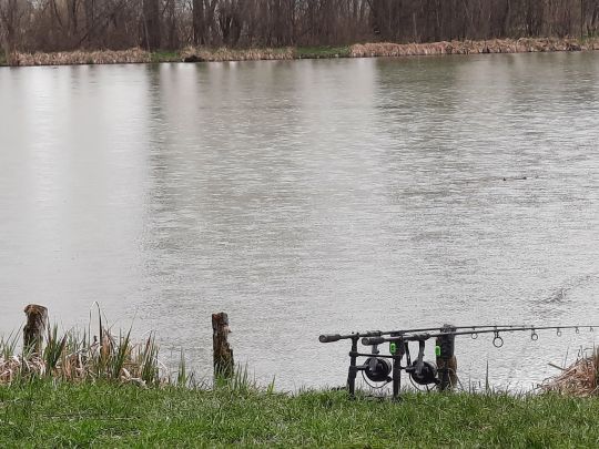 Böhmenteich (Bad Langensalza)-3