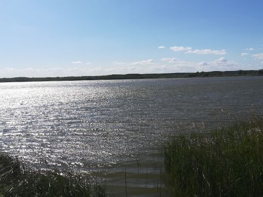 Zierker See angeln