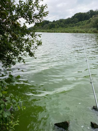Schwielowsee angeln