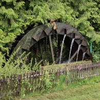 Teichanlage Schönarts