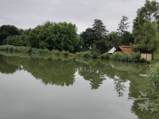 Teichanlage Schönarts-2