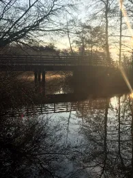 Bever (Bremervörde)-1