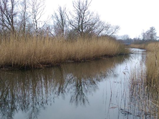 Körkwitzer Bach