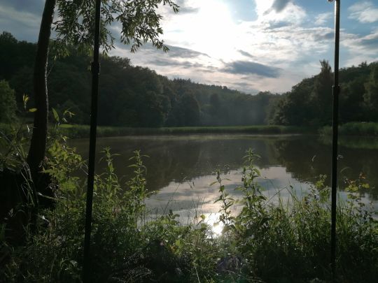Hirschenteich (Salza)