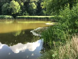 Hirschenteich (Salza)-2