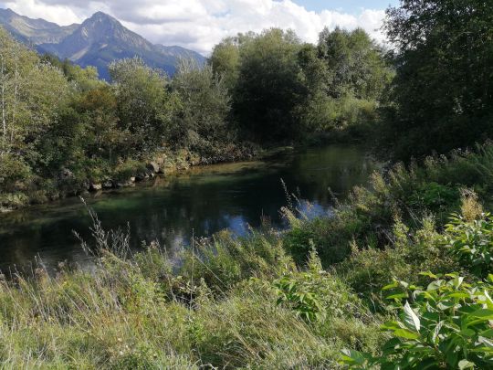 Grundbach (Fischen)-3