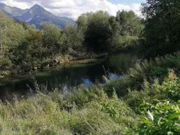 Grundbach (Fischen)-3