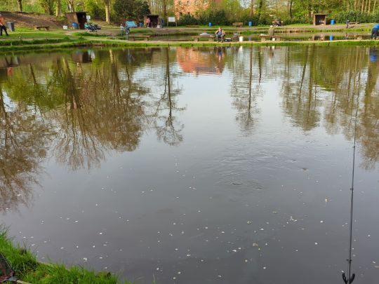 Artländer Forellenzucht-4