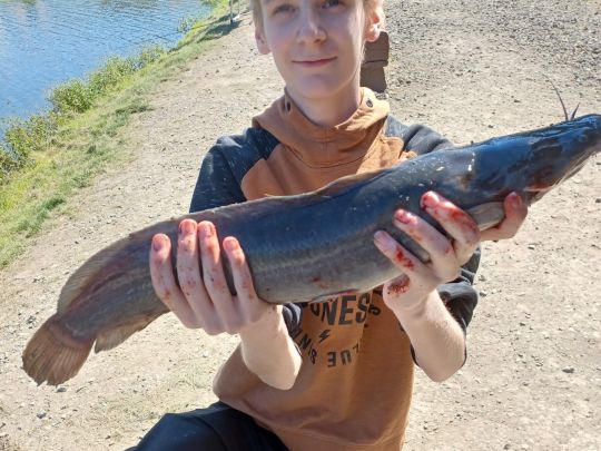 Artländer Forellenzucht-1