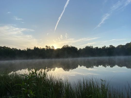 Raddesee (Sögel)-1