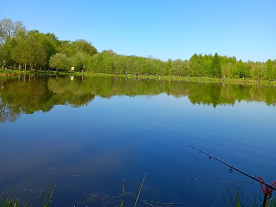 Raddesee (Sögel)-2