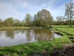 Eibsteich (Nordholz)