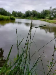 Eibsteich (Nordholz)-3