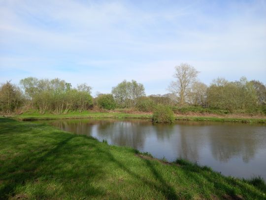 Eibsteich (Nordholz)-1