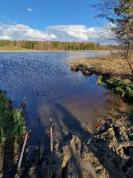 Metzisweiler Weiher-4