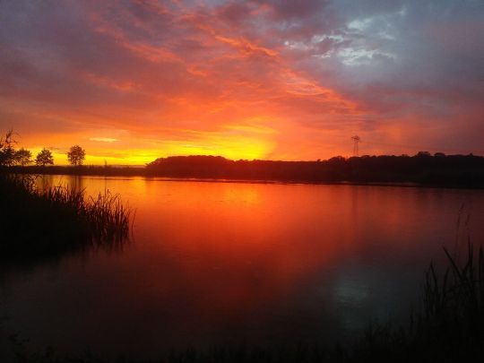 Rehsener See angeln