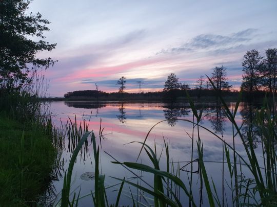 Rehsener See-3