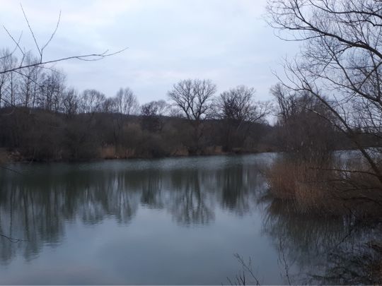 Am Teilwöhr
