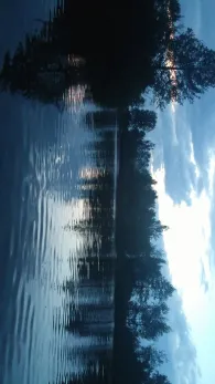 Börnersee (Königsmoos)