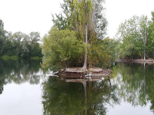 Teich 2 (Eschwege) angeln