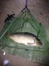 Nolteseen (Rodenbach)-4