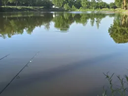 Nolteseen (Rodenbach)