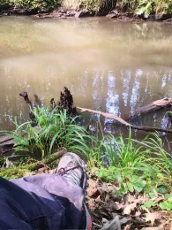 Fischbach (Fischbach-Camphausen)