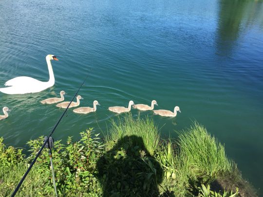 Weitmannsee-2