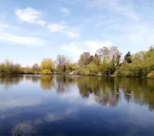 Königsteich (Bad Oldesloe)-2