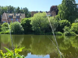 Königsteich (Bad Oldesloe)-4