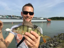 Dortmund-Ems-Kanal (Lüdinghausen)-3