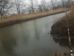 Alte Oder (Neuhardenberg)